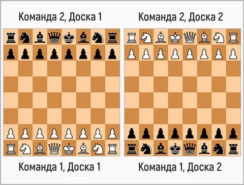 Bughouse